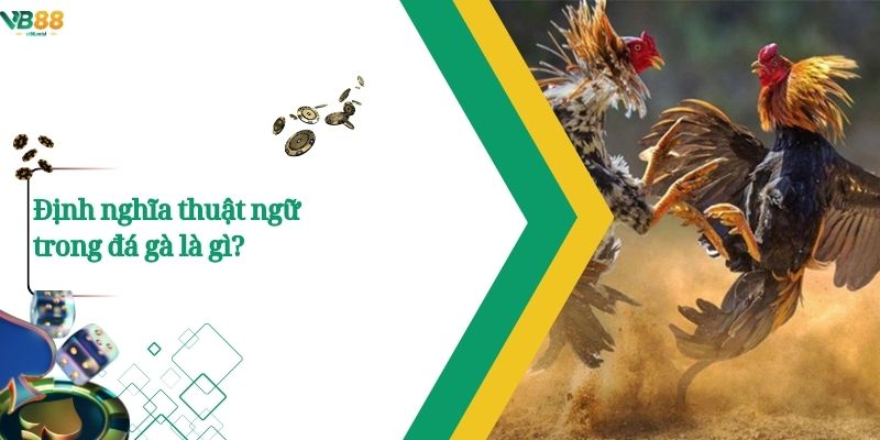 Định nghĩa thuật ngữ trong đá gà là gì?